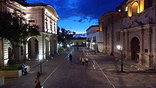 Teatro Morelos Aguascalientes catedral nocturno