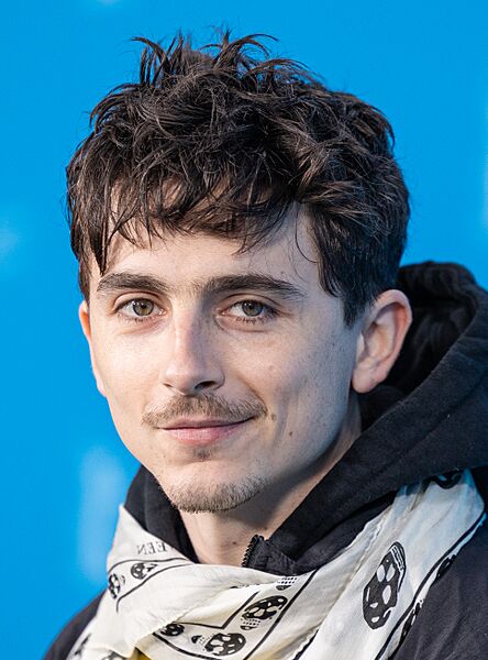 Timothée Chalamet-63482 (cropped)
