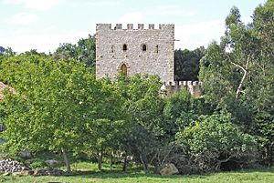 Archivo:Torre del Venero en Castillo Siete Villas