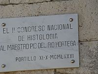 Archivo:Valladolid Portillo castillo placa homenaje RioHortega lou