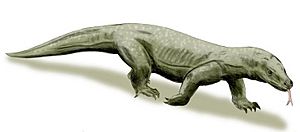 Archivo:Varanus priscus BW