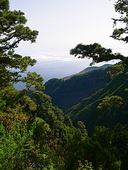 Archivo:View of nord La Palma