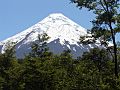 Volcán Osorno desde Saltos del Petrohué