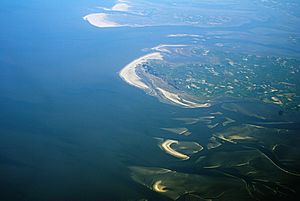 Archivo:Wattenmeer-Nordfriesland