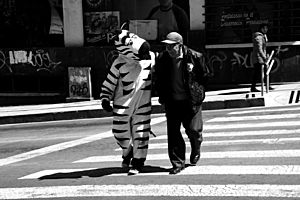 Archivo:Zebras of La Paz