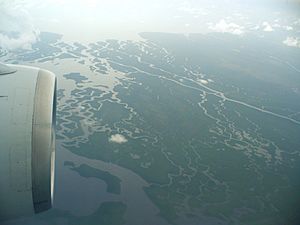 Archivo:Aerial view of Shark River, Everglades National Park, 2007-08-14