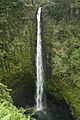 Akaka Falls, Hawaii Island, USA2