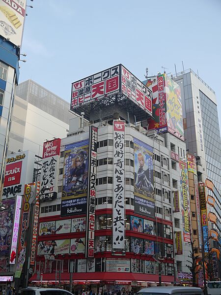 Akihabara Electric Town 11
