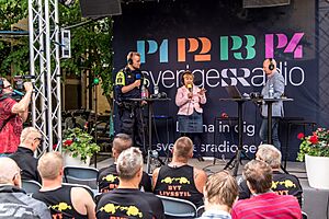 Archivo:Almedalen 2014 (16929948324)