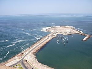 Archivo:Arica037