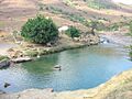 Balneariopescaderito