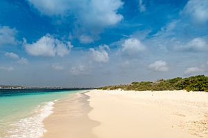 Archivo:Beach Klein Bonaire (36653868946)
