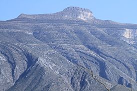 Cabeza de León - panoramio (1).jpg