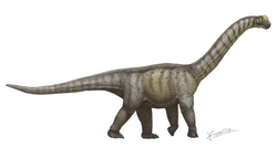 Camarasaurus supremus.png