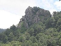 Archivo:Camulian2009Ago08 038b