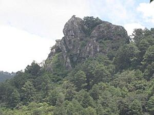Archivo:Camulian2009Ago08 038b