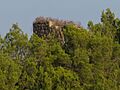 Castell de Castellfollit - Castellfollit del Boix CIC 20110926 00607
