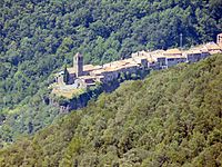 Archivo:Castellfollit de la Roca des del Santuari del Cós (Montagut) 1
