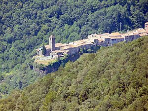 Archivo:Castellfollit de la Roca des del Santuari del Cós (Montagut) 1