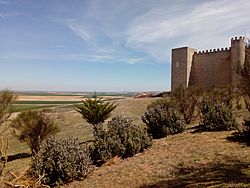 Archivo:Castillomontealegre