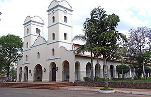 Archivo:Catedral de carapeguá