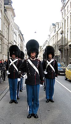 Archivo:Copenhagen royal guard waiting