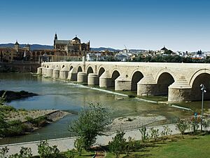 Archivo:Cordoba-Puente Romano04