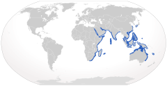 Distribución del Stegostoma fasciatum