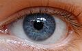 Deep Blue eye