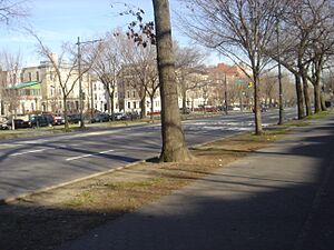 Archivo:Eastern Pkwy west of New York Ave