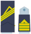 Ejerairedivies10