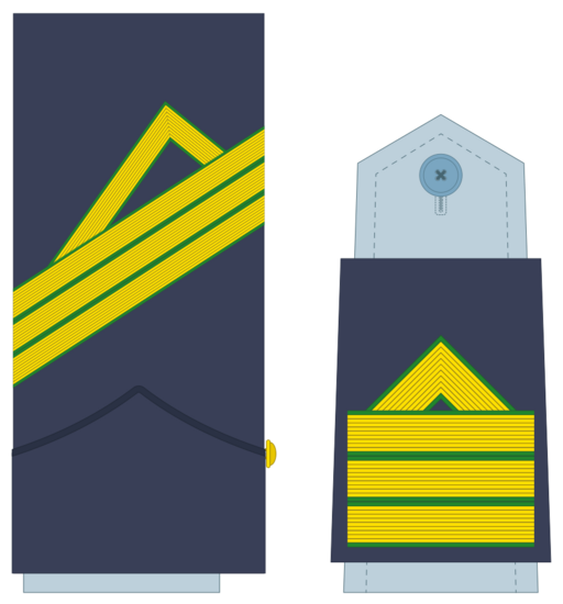 Ejerairedivies10
