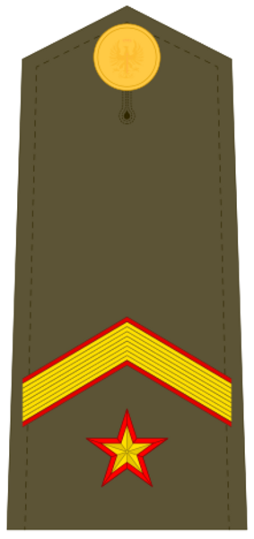 Ejerespadivi11
