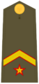 Ejerespadivi11