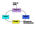 Elementos de un bucle de retroalimentación