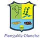 Escudo De El Municipio De Mangulile, Olancho..jpg