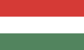 Flag of Ciudad Dario