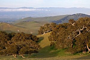 Archivo:Fort Ord NM