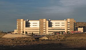 Archivo:Hospital del Sureste, 2012
