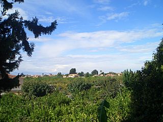 Huerta de Los Dolores (Murcia).JPG