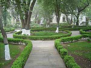 Archivo:Jardin Museo