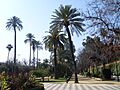 Jardines de Murillo