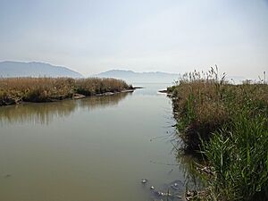 Archivo:Jordan River (Utah) 2015.08.22 - andrey zharkikh