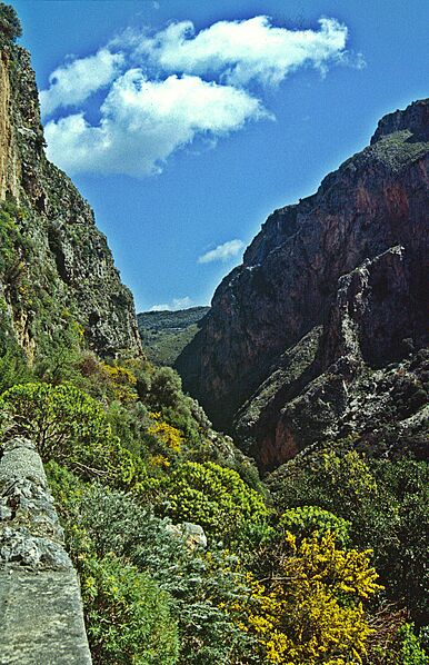 KrTopoliaSchlucht01