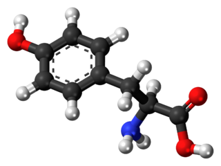 L-Tyrosine-3D-balls.png