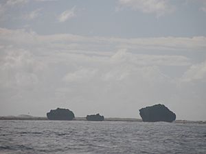Archivo:Makin Island reef