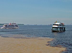 Archivo:Manaus Encontro das aguas 10 2006 103 8x6