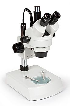Archivo:Microscope Altami PS II