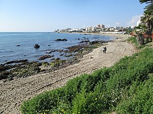 Archivo:Mijas Costa IMG 3548