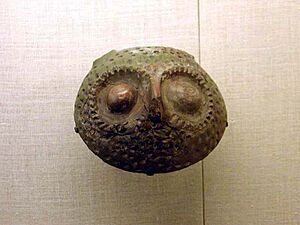 Archivo:Owl's face
